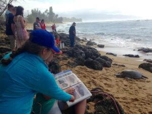 In the foreground, a volunteer and Linda trying to identify the Green Sea turtle on the beach based on a photo ID book.
